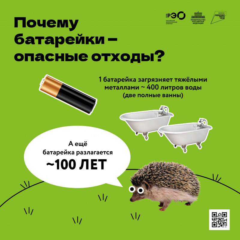 Батарейка-опасный вид отдоходов! - Бологовский колледж